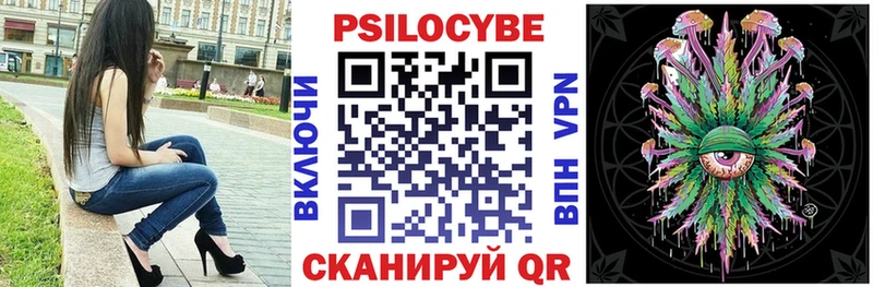 Псилоцибиновые грибы Cubensis  где продают   Камень-на-Оби 